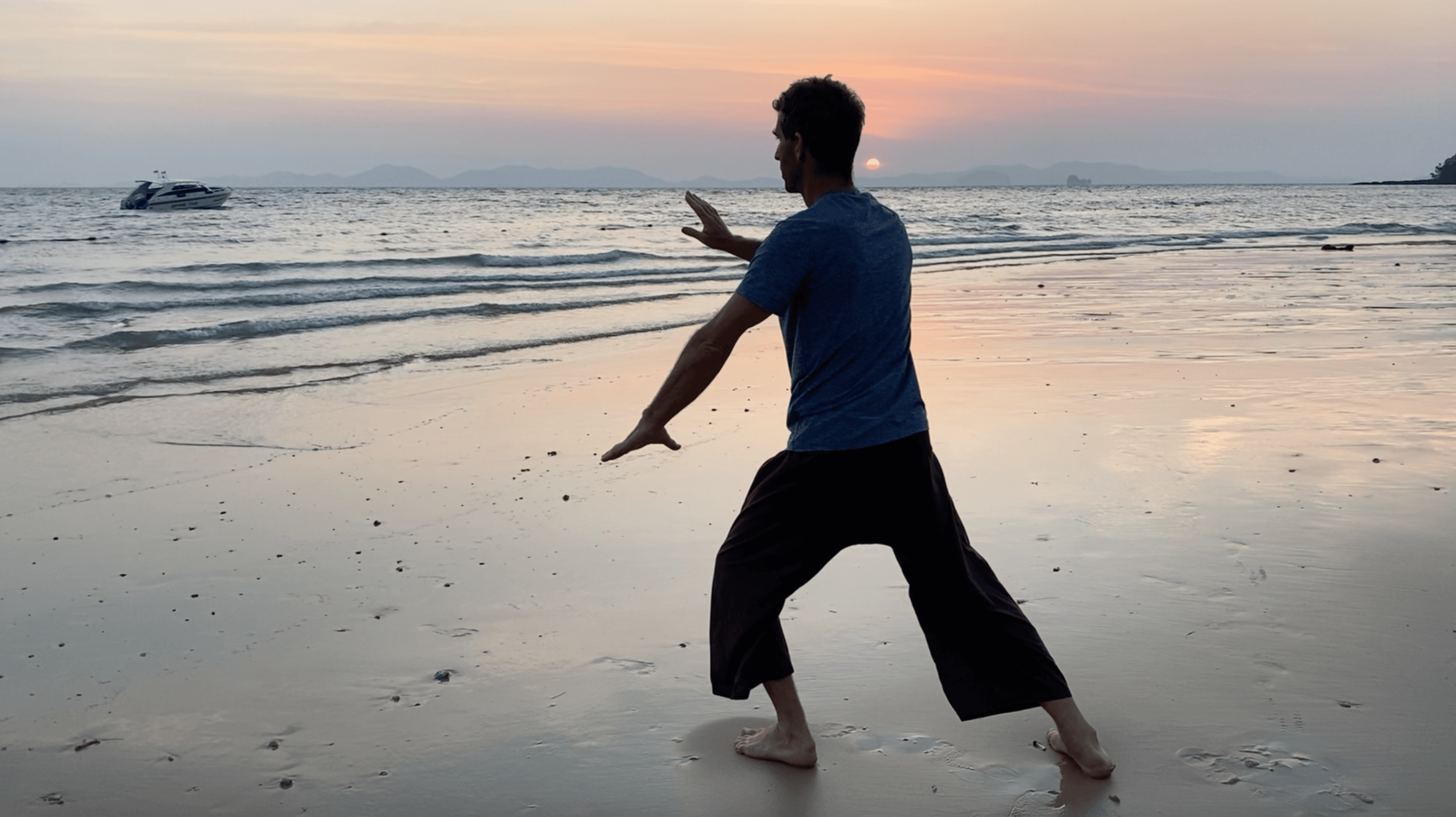 Wellness Academy Introduction