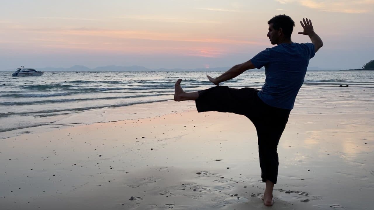 Qigong: The Taoist Path to Optimal Health