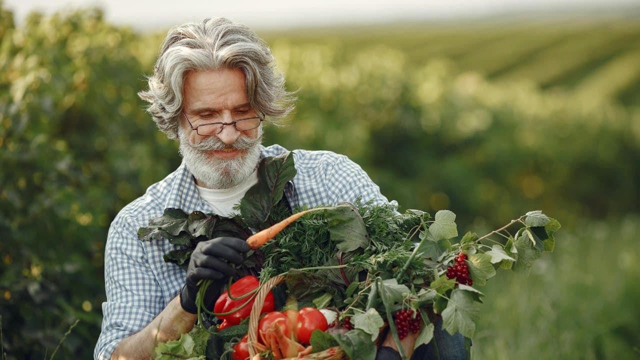 The 4 Essential Teachings from the Blue Zones