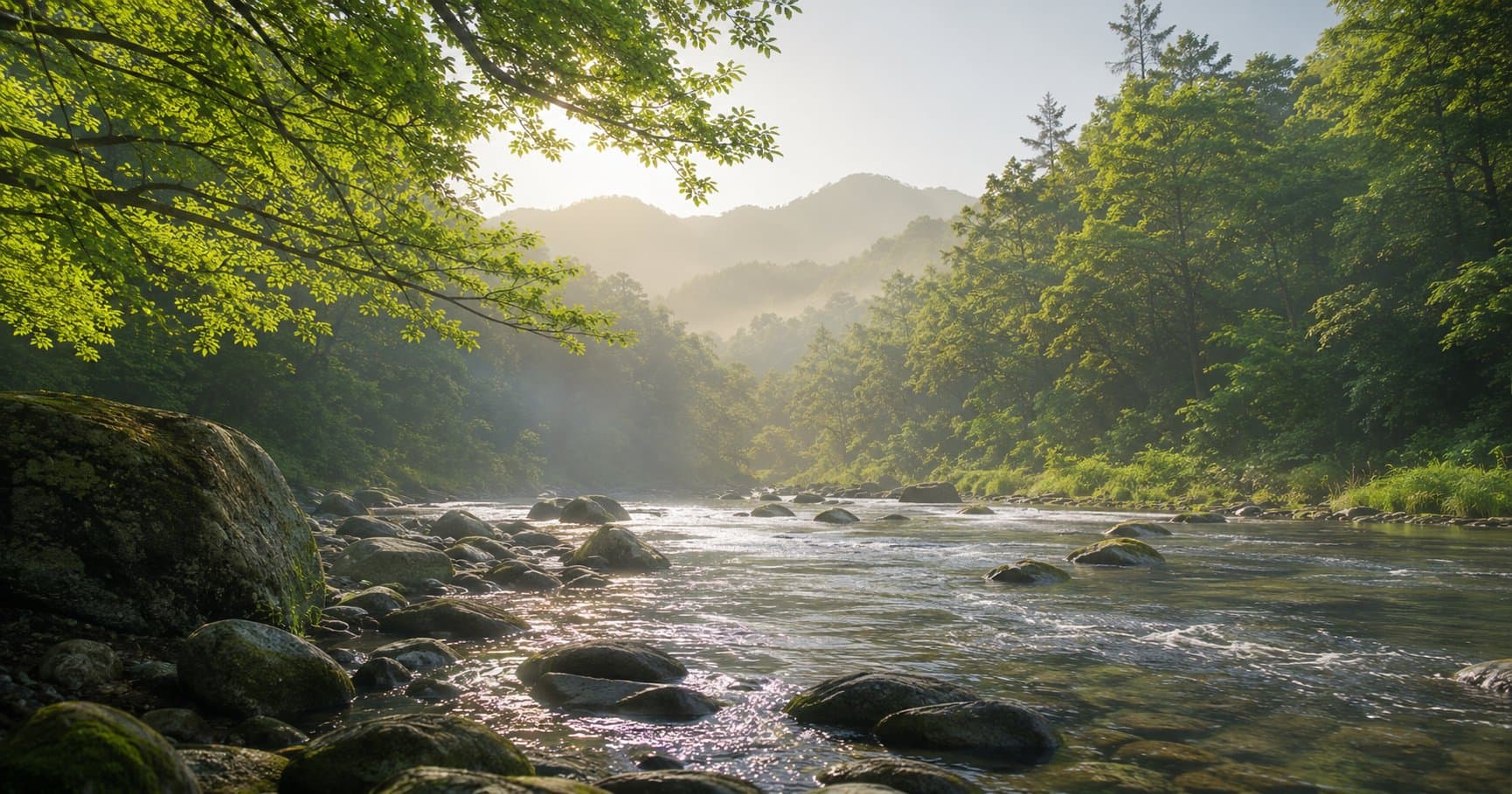 Taoist Training for Lymphatic Flow: How Qi Gong Supports Your Body's Natural Detox System