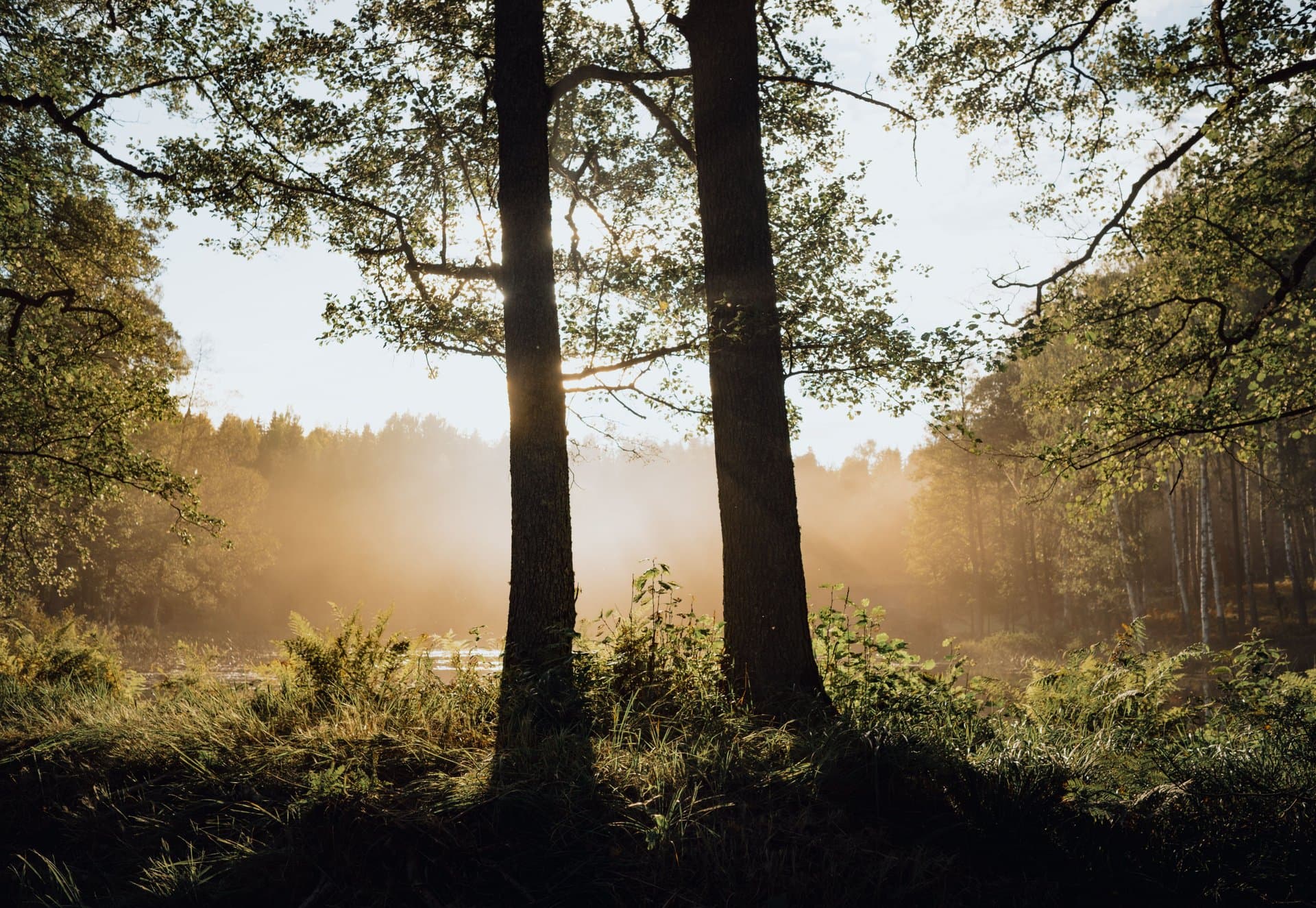 Why You Feel Stiff in the Morning (And How Gentle Movement Helps)