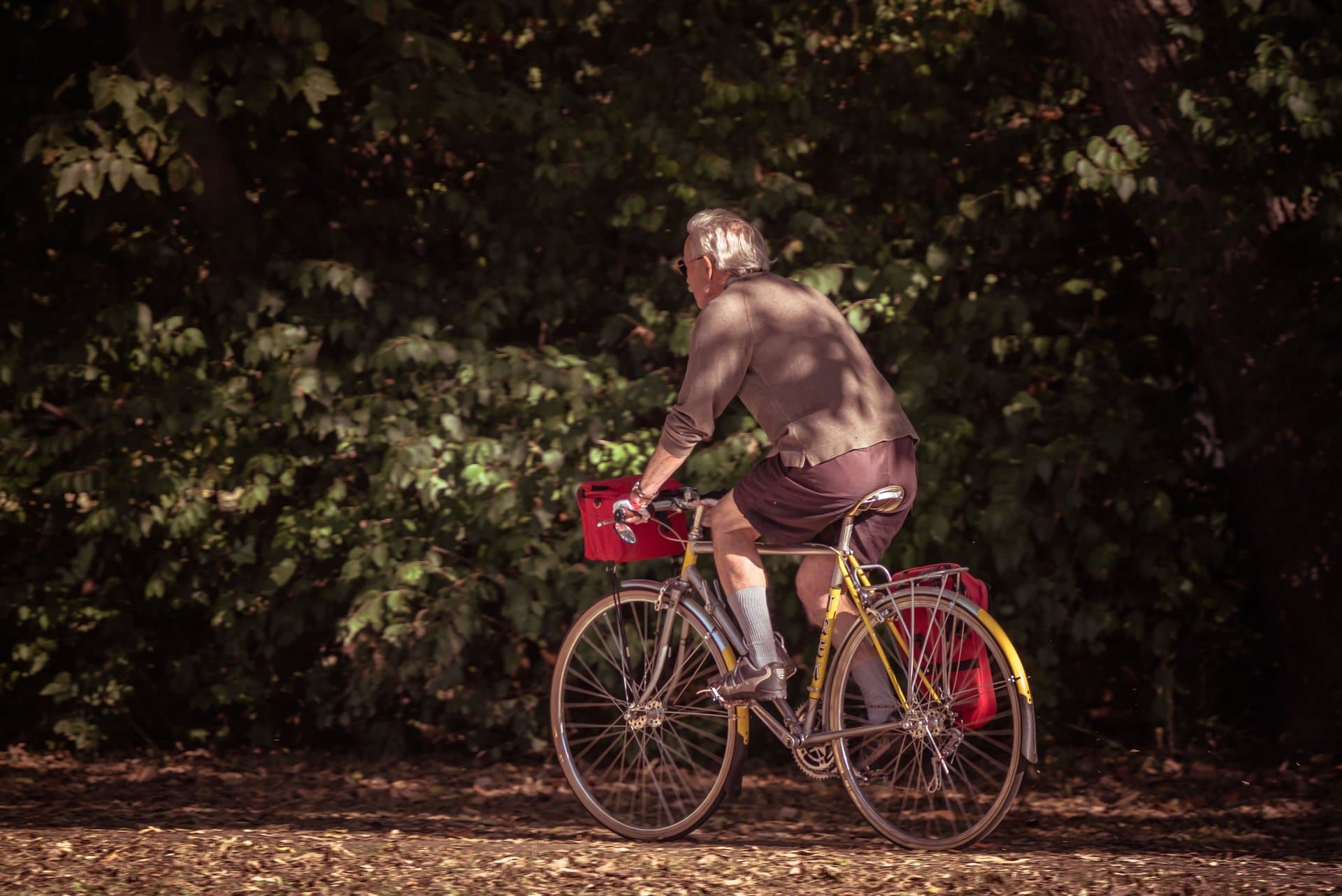 Longevity Escape Velocity: Could Humans One Day Stop Ageing?