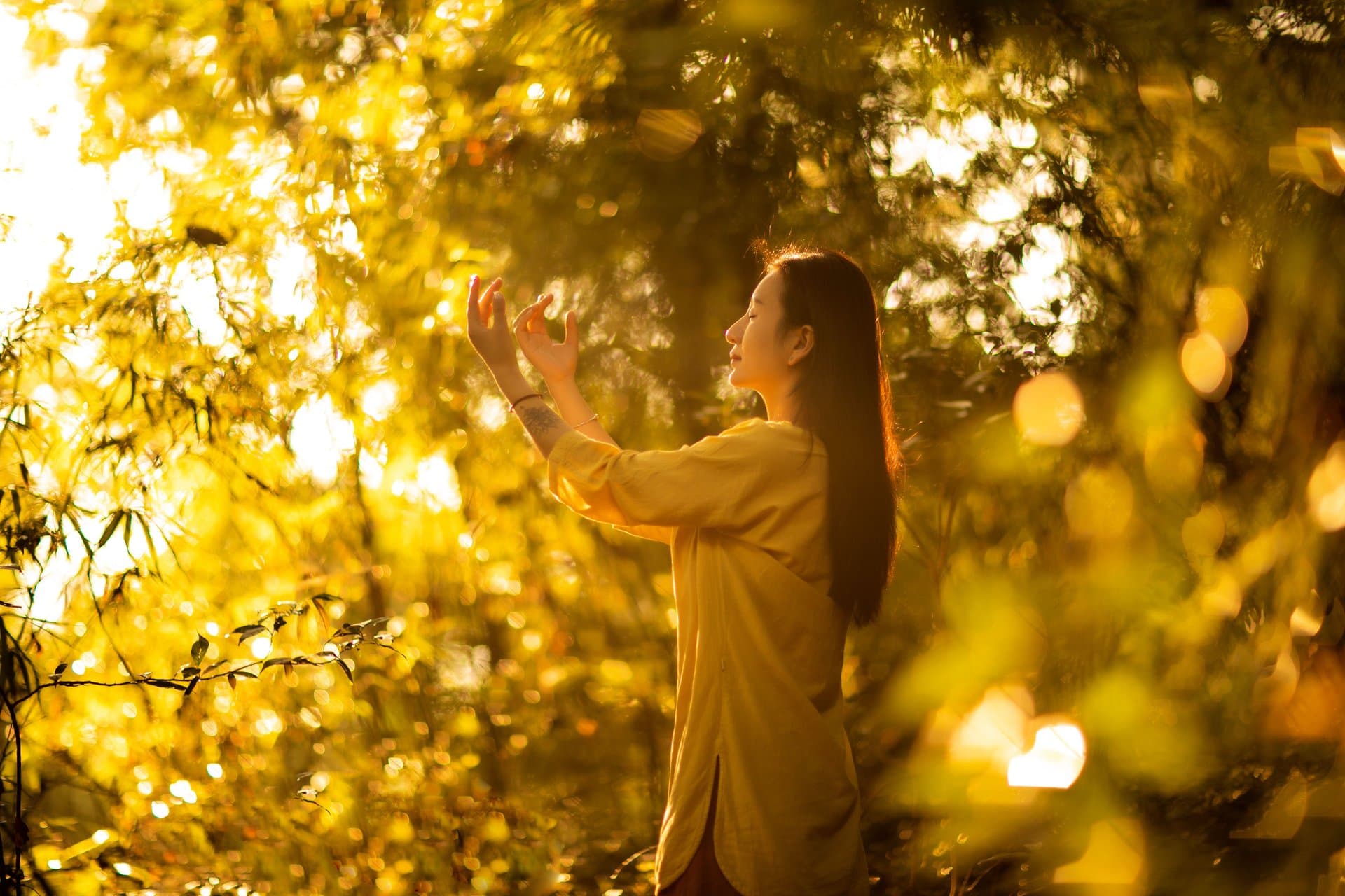 Morning Qigong: A 10-Minute Routine to Clear Stiffness