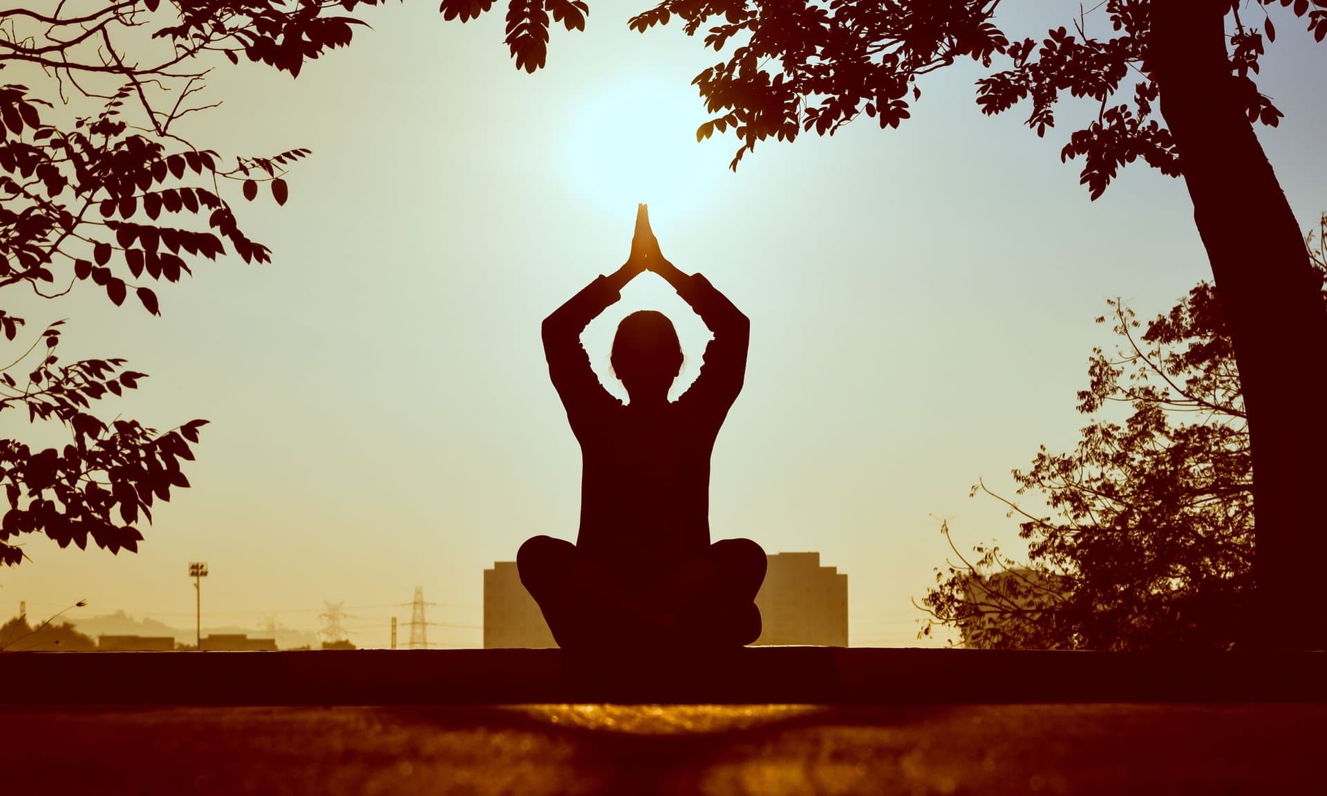 Seated Tai Chi: Lymphatic Drainage and Fascia Release