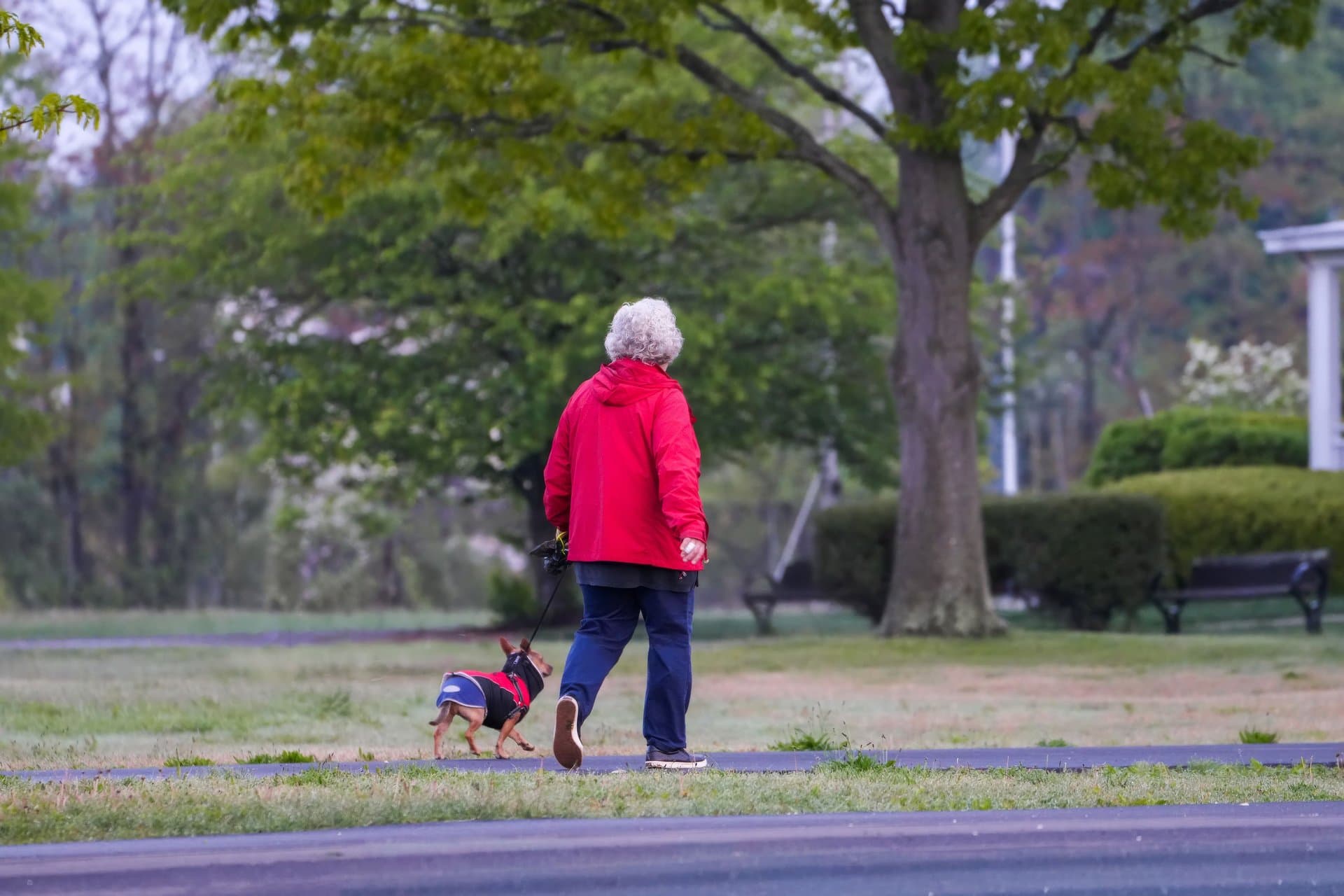 Can Walking Improve Fascia Health? What Happens With Regular Movement