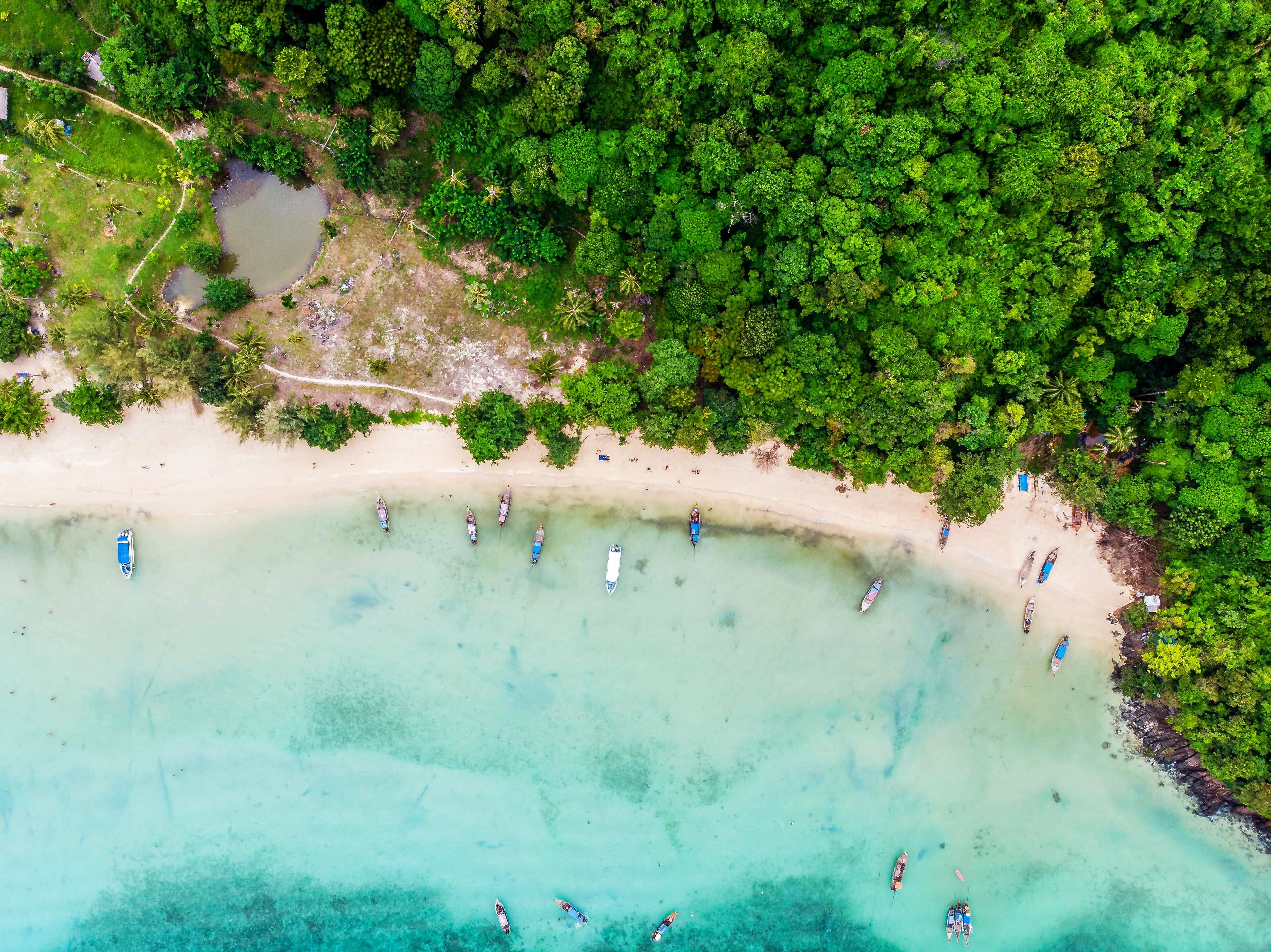 Aerial view of Krabi beach and jungle